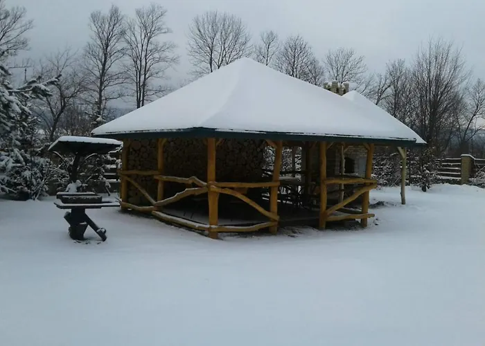 Karpaty Viking