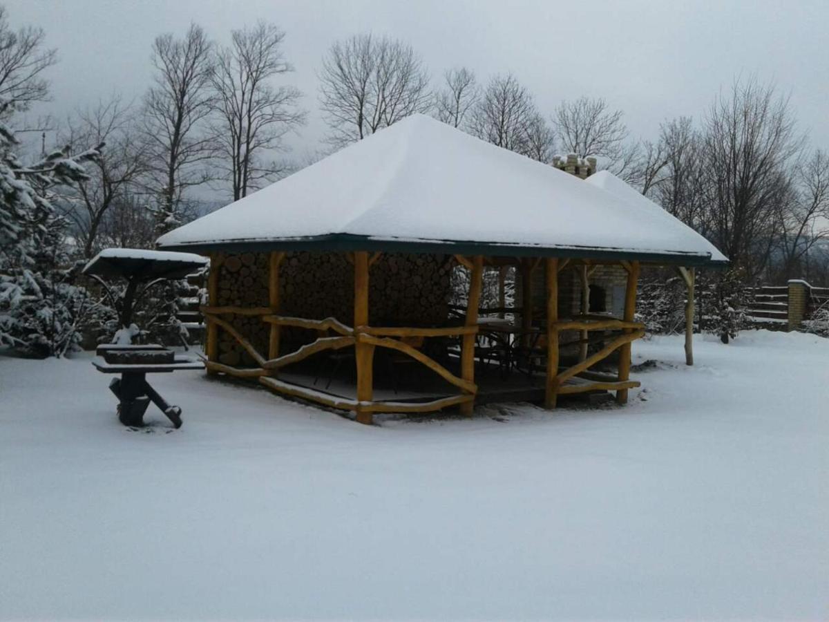 Karpaty Viking