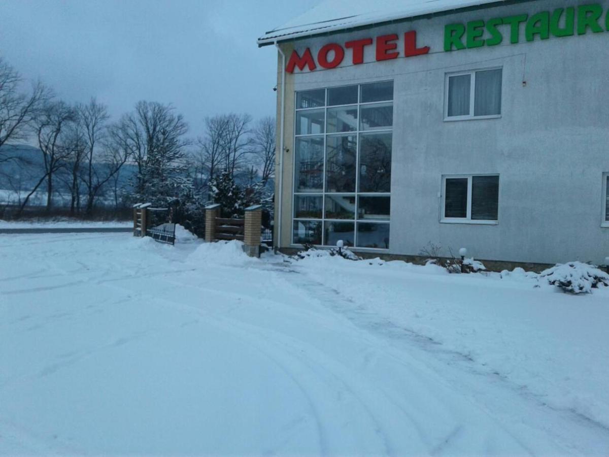 Karpaty Viking موتيل Nizhneye Sinevidnoye